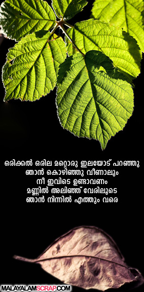 friendship-malayalam (14)