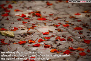 friendship-malayalam (5)