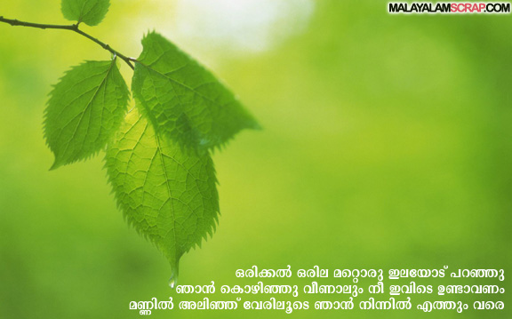 friendship_malayalam (1)