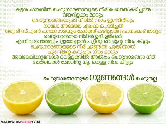 lime_1