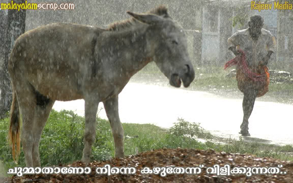 malayalam-fun (3)