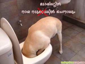 malayalam_fun (23)