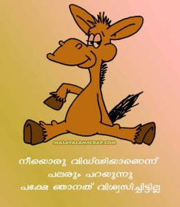 malayalam_fun (5)