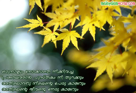 pranayam-love-malayalam-lyrics (4)