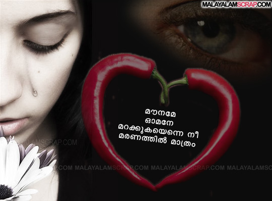 pranayam-love-malayalam-lyrics (9)