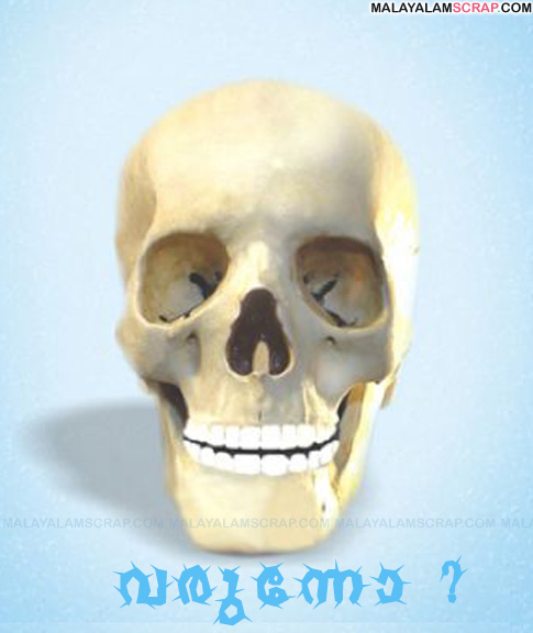 skull_1