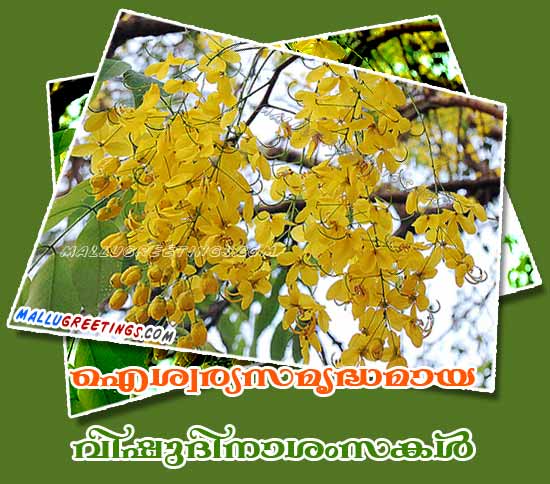 malayalam_vishu_scrap22