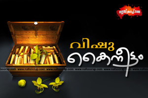 vishu 12