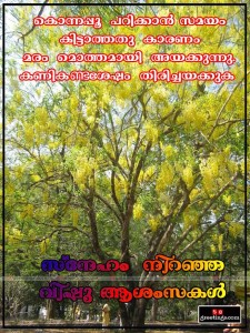 vishu-19