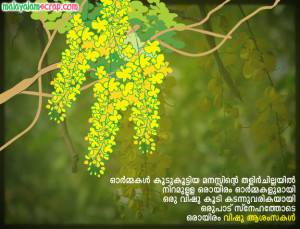 vishu (2)