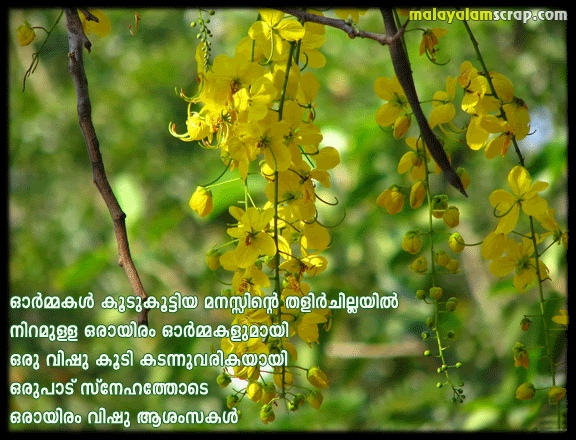 vishu (4)