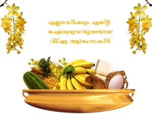 vishu1 (1)