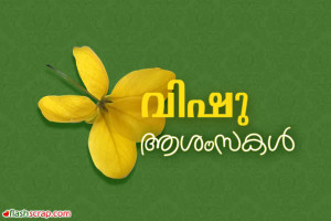 vishu11