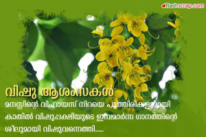 vishu3