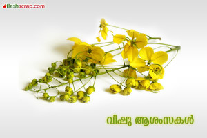 vishu4